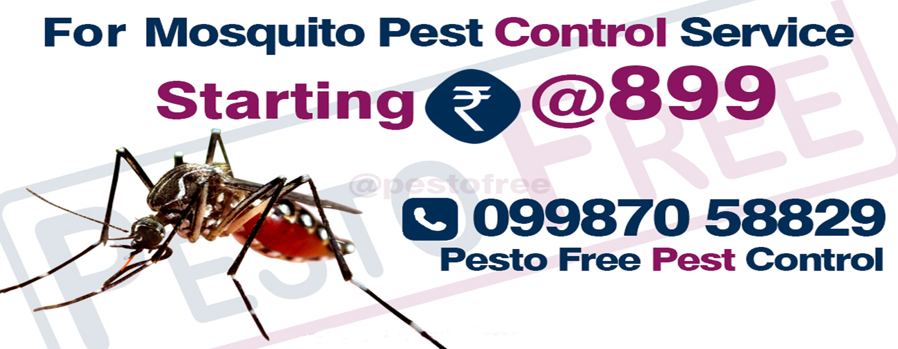 Mosquito Pest Control in Mumbai